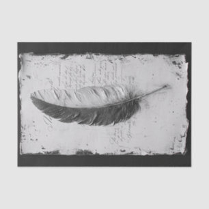 Papier Mousseline Plumes gothiques dans une étude de noir et blanc