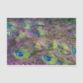 Papier Mousseline plumes violettes de paon (Recto)