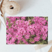 Papier Mousseline Plutôt rose Daphné Floral