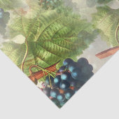 Papier Mousseline Poignée de raisins violets dans la fosse (Détail)