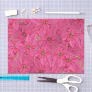 Papier Mousseline Poinsettias de couleur fuchsia, motif floral