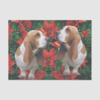 Poinsettias de Noël de Basset Hound