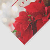 Papier Mousseline Poinsettias rouges avec Golden Bokeh Noël (Détail)
