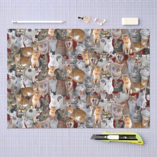 Papier Mousseline Point de rencontre des chats - mignon (Artisanat)