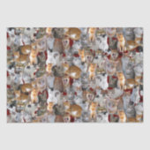 Papier Mousseline Point de rencontre des chats - mignon (Recto)