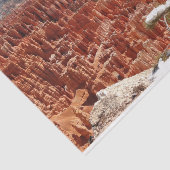 Papier Mousseline Point d'inspiration à Bryce Canyon I (Détail)