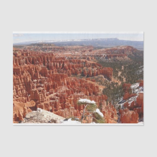 Papier Mousseline Point d'inspiration à Bryce Canyon I (Recto)