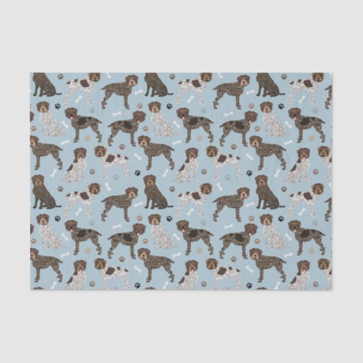 Papier Mousseline Pointeur à poils durs (Recto)