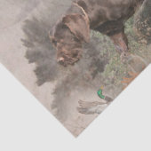 Papier Mousseline Pointeur À poils durs allemand (Détail)