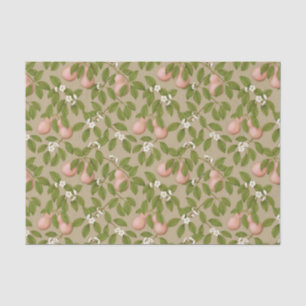 Papier Mousseline Poires roses (brun clair)