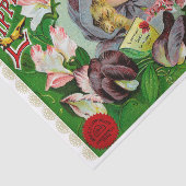 Papier Mousseline Pois doux Catalogue de semences de fleurs 1908 (Détail)