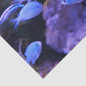 Papier Mousseline Poisson bleu tropical (Détail)