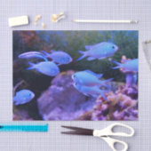 Papier Mousseline Poisson bleu tropical (Artisanat)