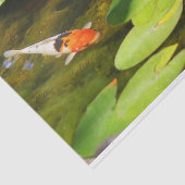 Papier Mousseline Poisson Koi dans l'étang Lily de l'eau (Détail)