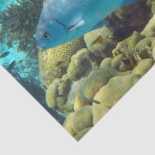 Papier Mousseline Poissons de récif (Détail)