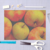 Papier Mousseline Pommes d'automne (Artisanat)