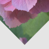 Papier Mousseline Pompée rose Hydrangea Hortensia Fleur (Détail)