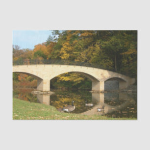 Papier Mousseline Pont arc-en-ciel en automne au Grove City College