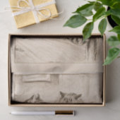 Papier Mousseline Pont des Soupirs par Louis Wain (Cadeau)