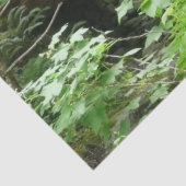 Papier Mousseline Pont Muir Woods I (Détail)