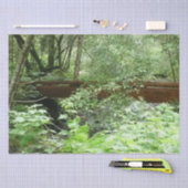 Papier Mousseline Pont Muir Woods I (Artisanat)