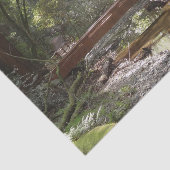 Papier Mousseline Pont Muir Woods II (Détail)