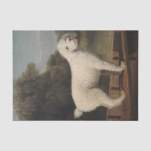 Papier Mousseline Poodle blanc dans un Punt (par George Stubbs)