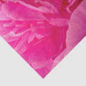 Papier Mousseline Pop de PAPIER Pink Peony-TISSUE EN WRAPPER (Détail)