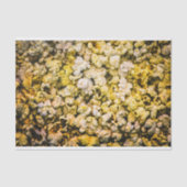 Papier Mousseline Popcorn (Recto)