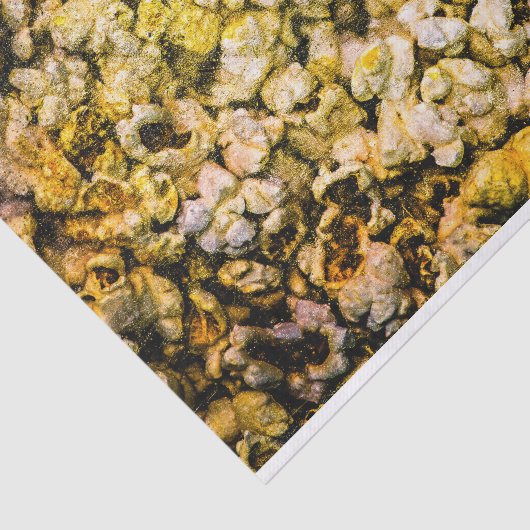 Papier Mousseline Popcorn (Détail)