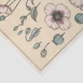 Papier Mousseline Poppy, Eugene Grasset's Botany Series (Détail)