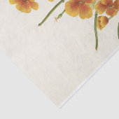 Papier Mousseline Poppy mexicain par Mary Vaux Walcott (Détail)