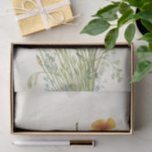 Papier Mousseline Poppy mexicain par Mary Vaux Walcott (Cadeau)