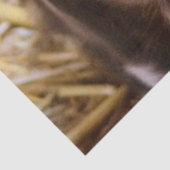 Papier Mousseline Porcelet doux (Détail)