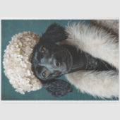 Papier Mousseline Portrait de caniche noir Hydrangée blanche Découpa (Recto)