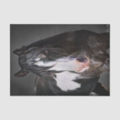 Papier Mousseline Portrait de cheval II (Recto)