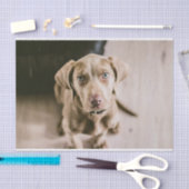 Papier Mousseline Portrait de chien (Artisanat)