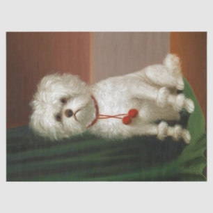 Papier Mousseline Portrait de chien blanc vintage adorable