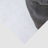 Papier Mousseline Portrait français de Bulldog (Détail)