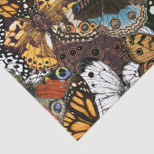 Papier Mousseline Poster de animal. Ailes papillons. (Détail)