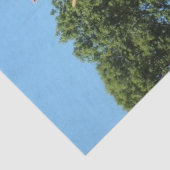 Papier Mousseline Poster de Lily et Iris Garden (Détail)