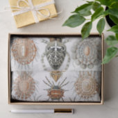 Papier Mousseline Poster d'Ernst Haeckel Arachnida (Cadeau)