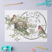 Papier Mousseline Poster d'oiseau français Décopage Vintage (Artisanat)