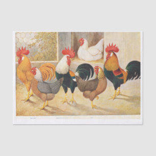 Papier Mousseline Poules et poulets de coq authentiques (pas AI)