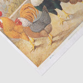 Papier Mousseline Poules et poulets de coq authentiques (pas AI) (Détail)