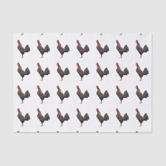 Papier Mousseline Poulet blanc (Recto)