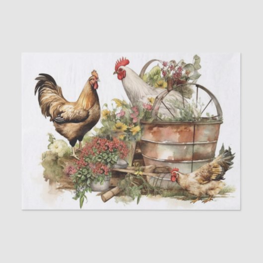 Papier Mousseline Poulet frais de ferme (Recto)