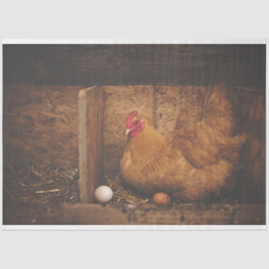 Papier Mousseline Poulet Hen Oeuf Ferme de découpage Papier de tissu (Recto)