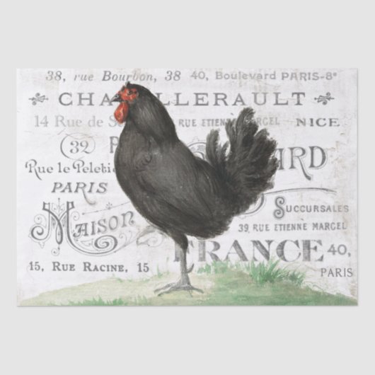 Papier Mousseline Poulet Noir Hen Français Ville Nom Paris Découpage (Recto)