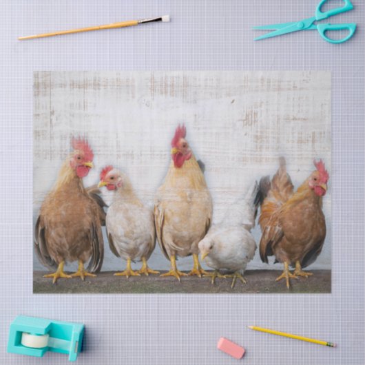 Papier Mousseline Poulets (Artisanat)